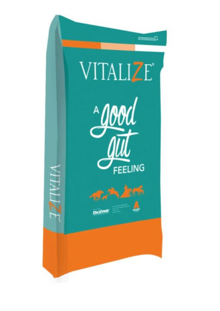 VitaLize High Performance