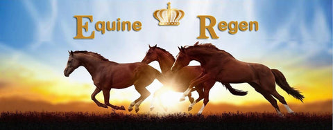 Equine Regen Plus
