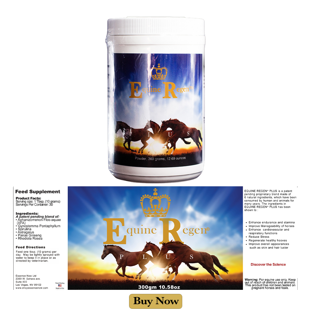 Equine Regen Plus