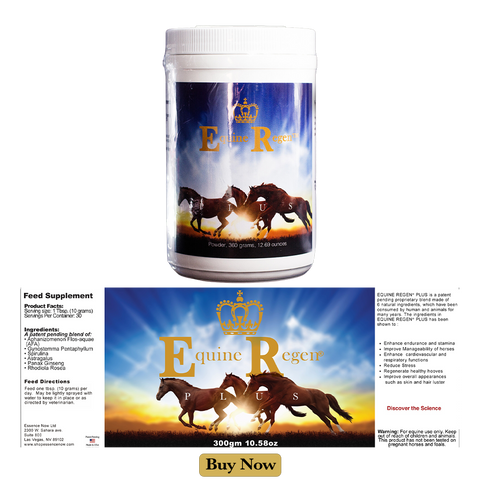 Equine Regen Plus
