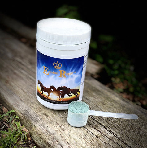 Equine Regen Plus